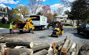 Best Tree Health Inspection  in Delhi, CA