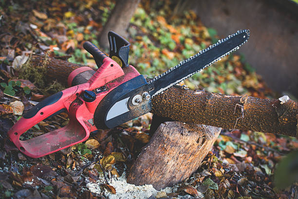 Best Pest Control for Lawns  in Delhi, CA